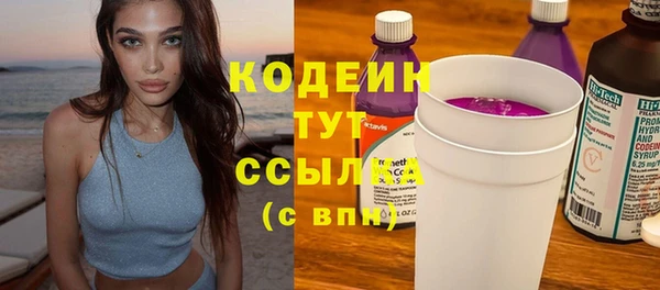 гашик Ельня