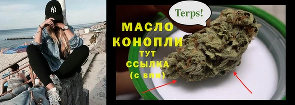гашик Ельня