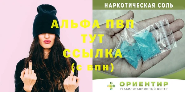 гашик Ельня