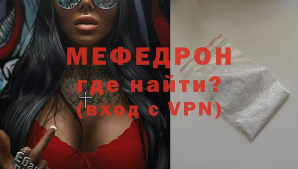 гашик Ельня