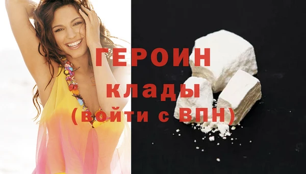 гашик Ельня