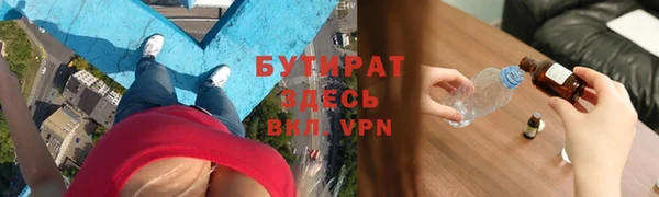 гашик Ельня
