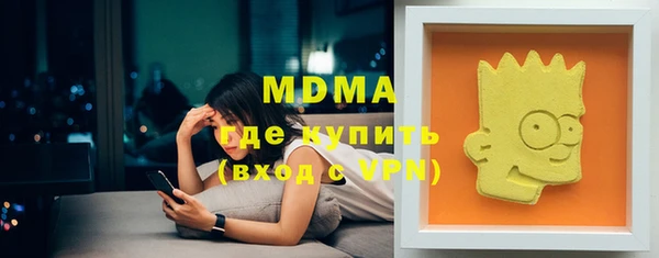 гашик Ельня