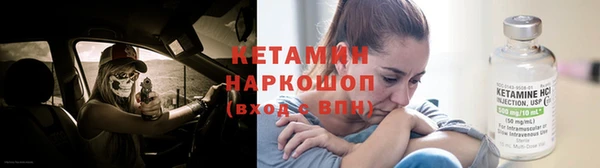 гашик Ельня