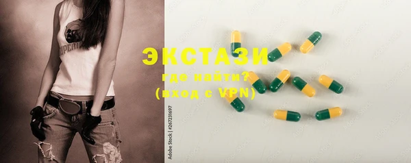 гашик Ельня