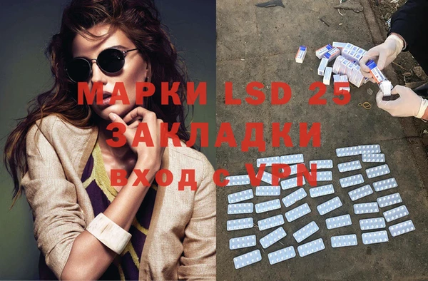 гашик Ельня