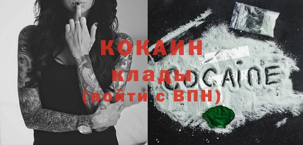 гашик Ельня