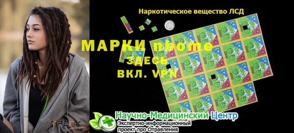 гашик Ельня