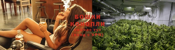 гашик Ельня