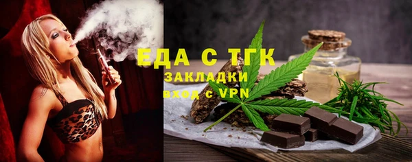гашик Ельня
