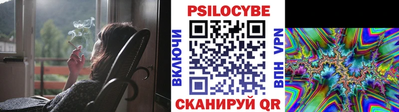 Галлюциногенные грибы Psilocybe Ясный